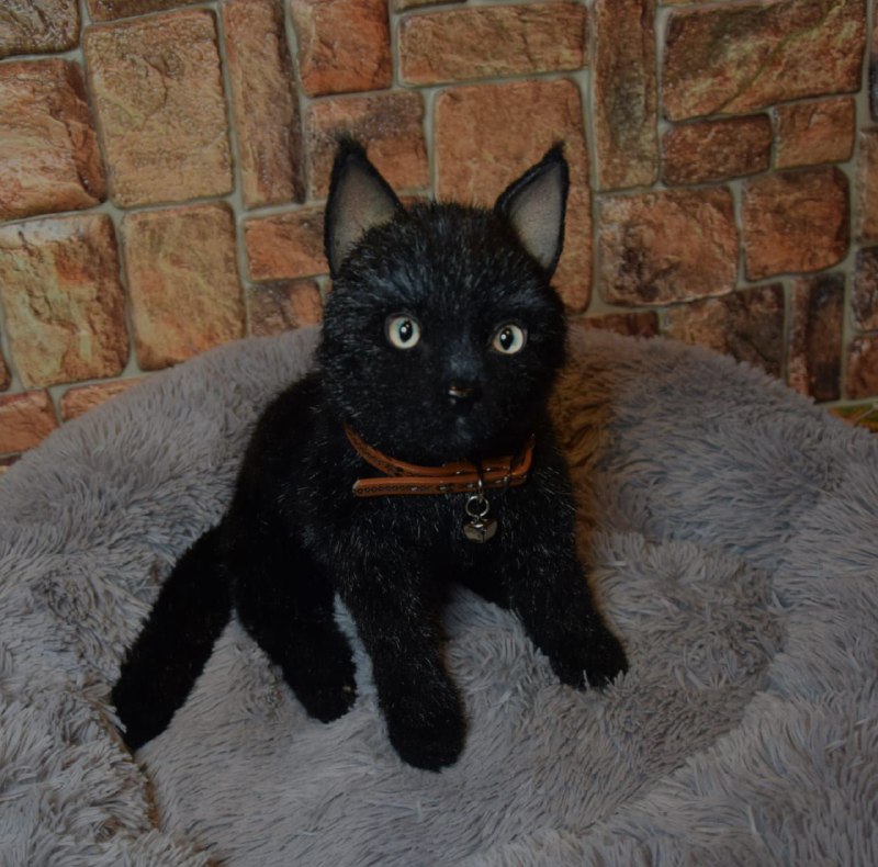 Black cat 5 custom-black-cat-plush-toy