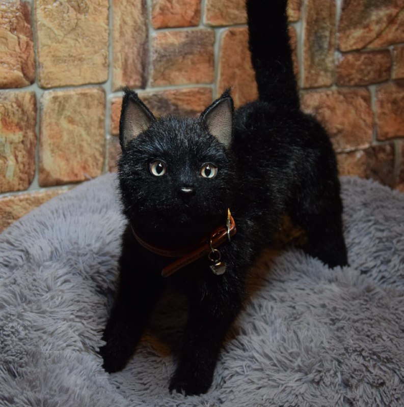 handmade-black-cat