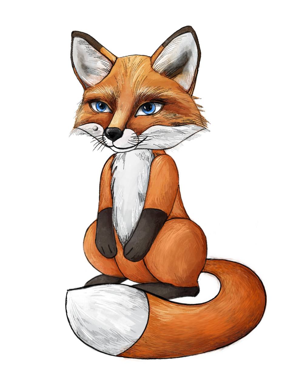 Fox 7